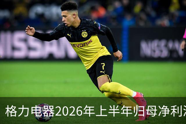 格力电器2026年上半年归母净利润132.78亿元，同比下降7.87%